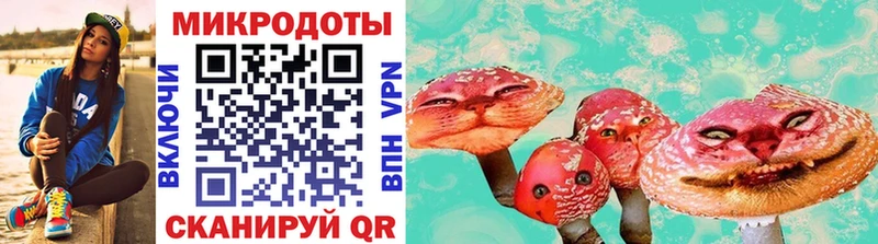 Галлюциногенные грибы прущие грибы  Тында 
